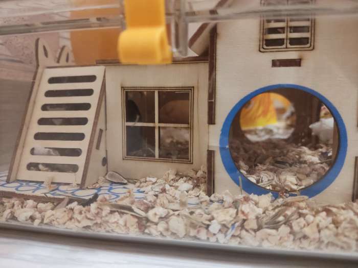 Фотография покупателя товара Комплекс-площадка для грызунов с 2 домиками и горкой, фанера, 19 х 14 см
