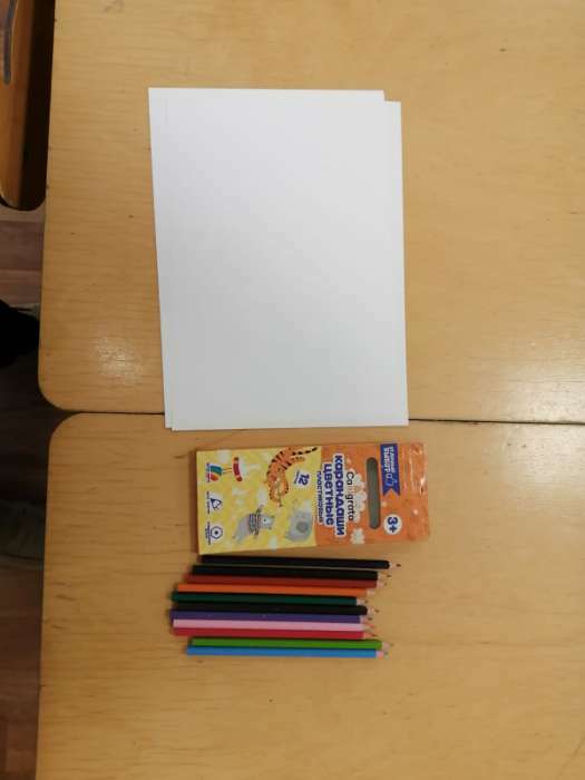 Фотография покупателя товара Карандаши 12 цветов Calligrata, ЭКОНОМ, заточенные, шестигранные, пластиковые, картонная упаковка, европодвес - Фото 58