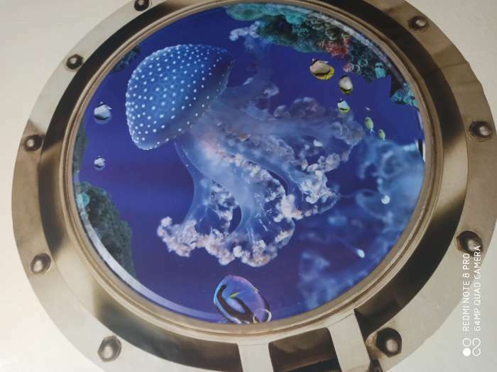 Фотография покупателя товара Наклейка 3Д интерьерная Медуза в илюминаторе 50*50см - Фото 3
