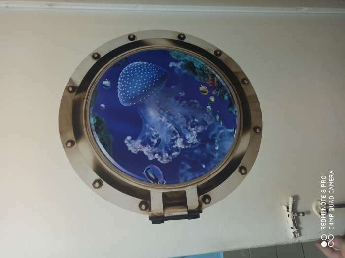 Фотография покупателя товара Наклейка 3Д интерьерная Медуза в илюминаторе 50*50см - Фото 4