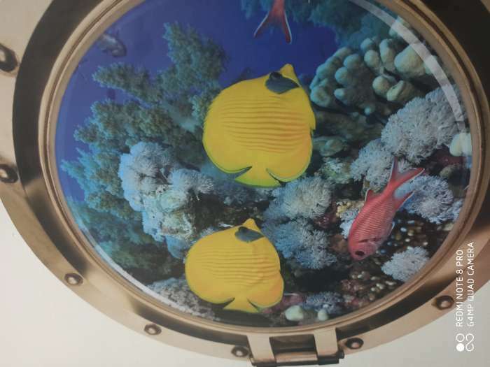 Фотография покупателя товара Наклейка 3Д интерьерная Рыбки в илюминаторе 50*50см - Фото 1