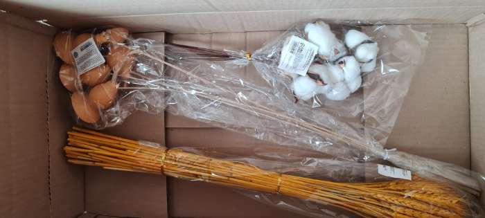 Фотография покупателя товара Сухой колос пшеницы, набор 50 шт., цвет белый - Фото 4