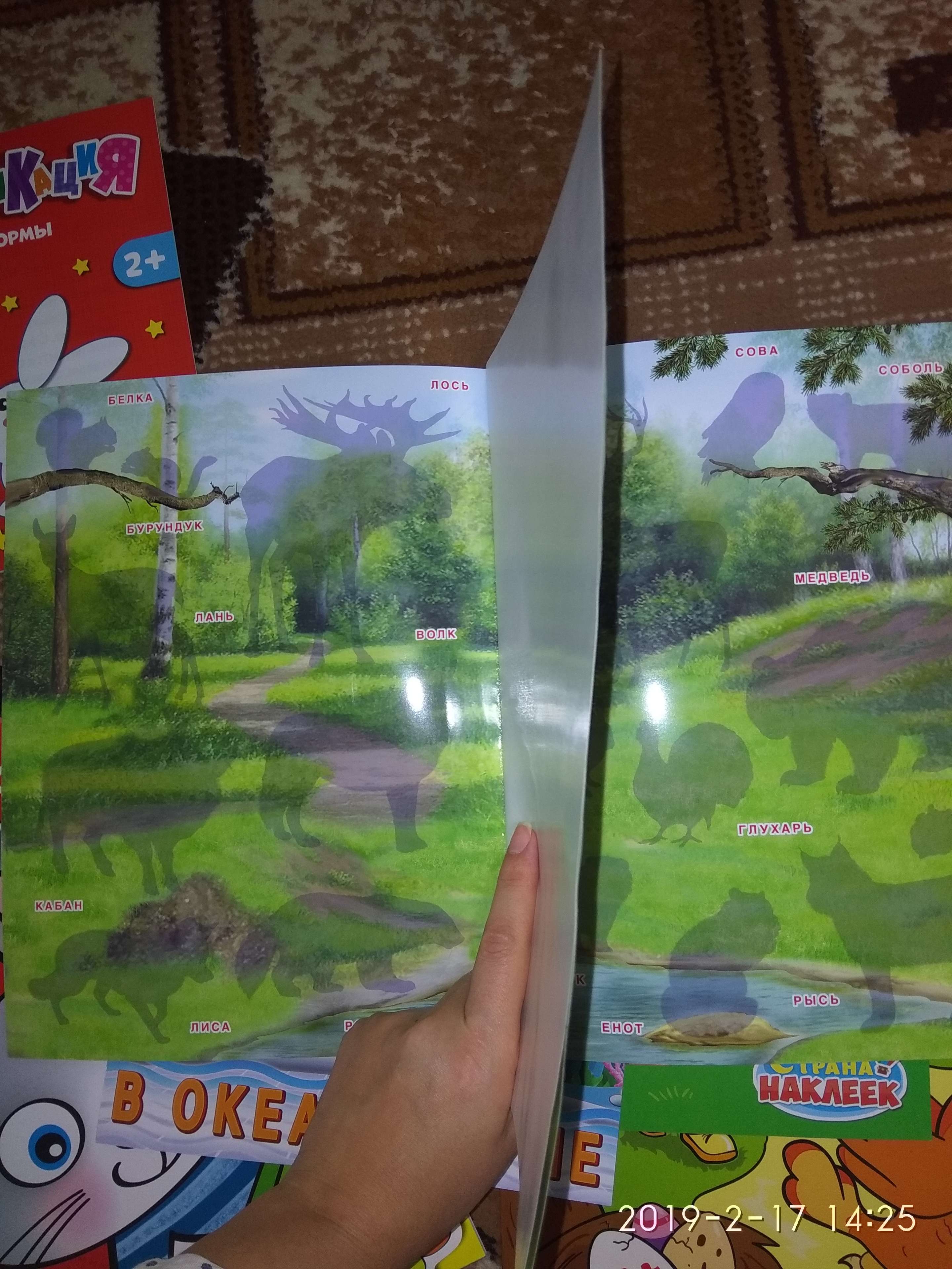 Фотография покупателя товара Книжка с наклейками «Кто живёт в лесу» - Фото 2