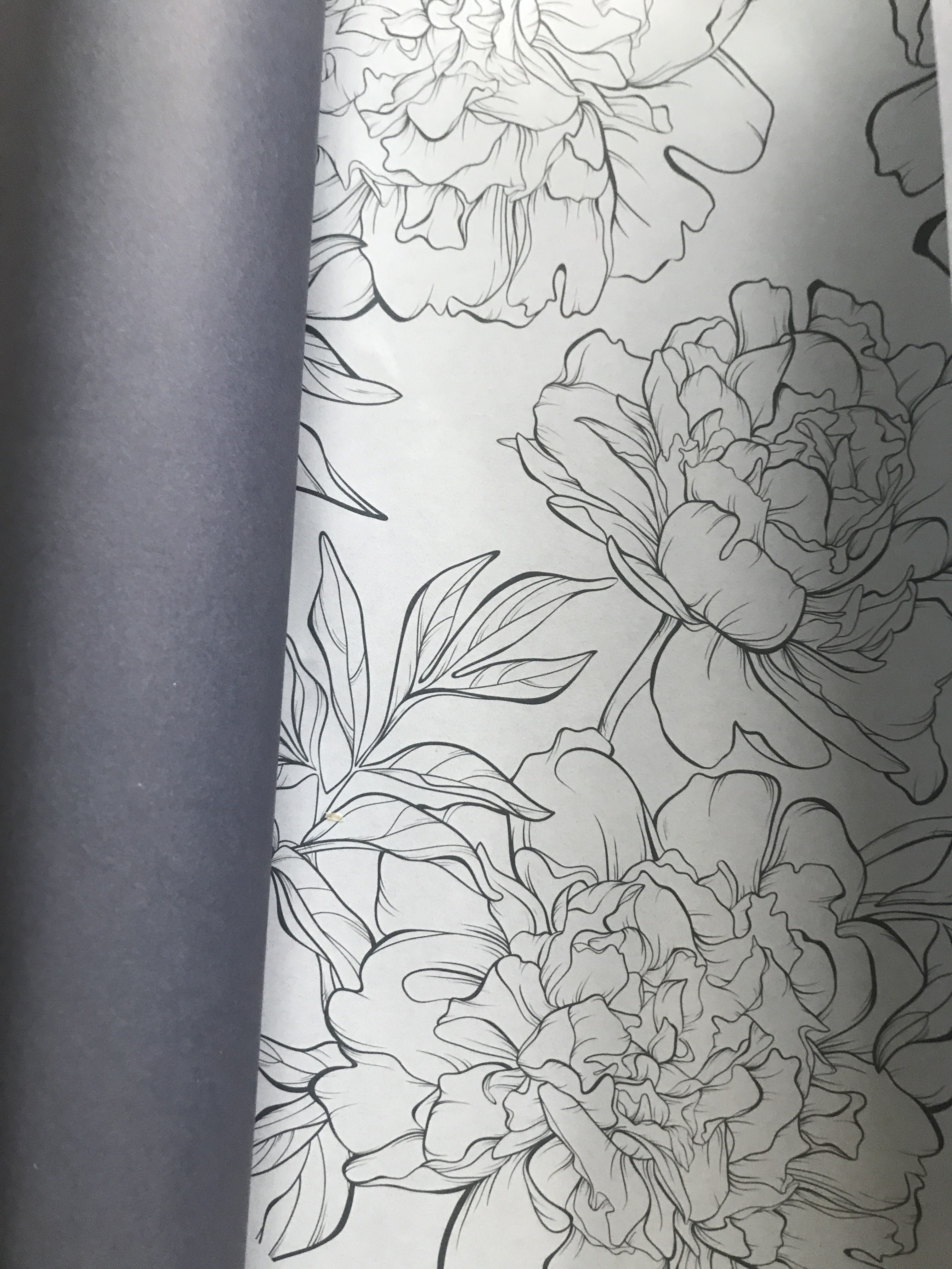 Фотография покупателя товара Бумага упаковочная крафт цветная двухсторонняя «Лиловые цветы», 50 х 70 см