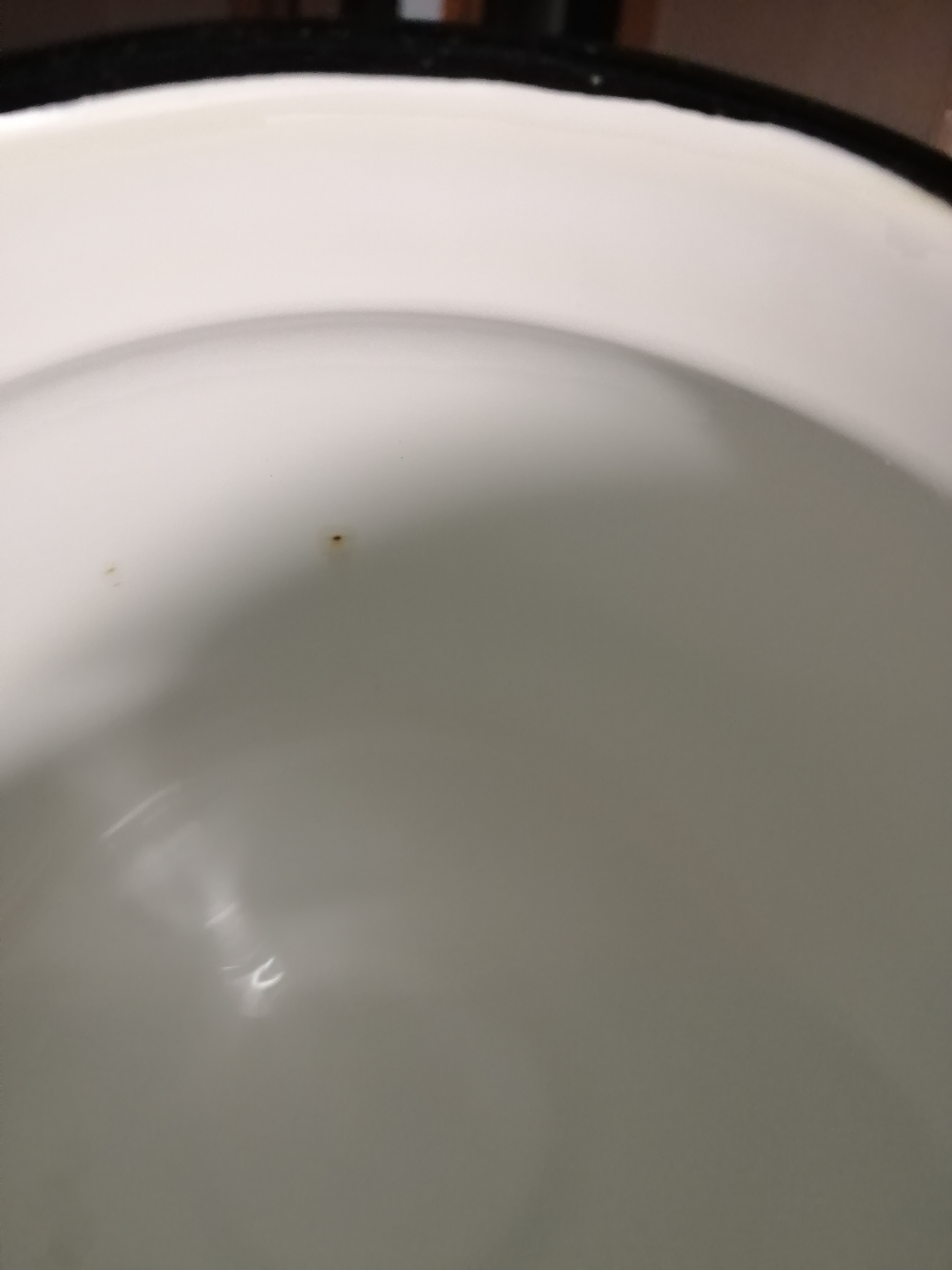 Фотография покупателя товара Чайник «Маки», 2,3 л, эмалированная крышка, индукция, цвет белый
