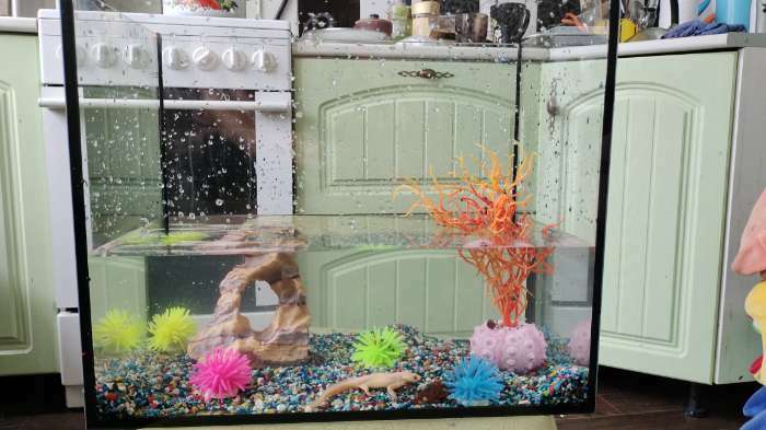 Фотография покупателя товара Декоративный анемон для аквариума, микс цветов, 5 х 3,5 см - Фото 1