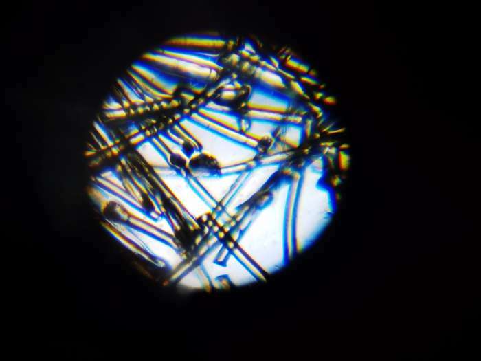 Фотография покупателя товара Микроскоп «Юный исследователь», увеличение х1200