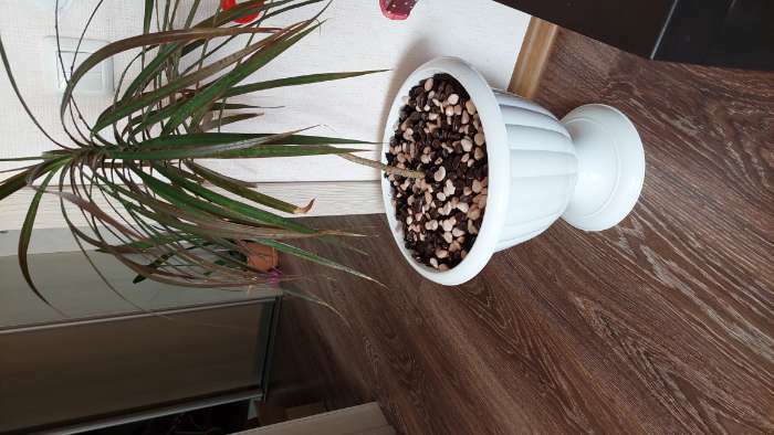 Фотография покупателя товара Грунт декоративный галька микс: шоколад-какао-крем-брюле 800г фр. 8-12 мм - Фото 1