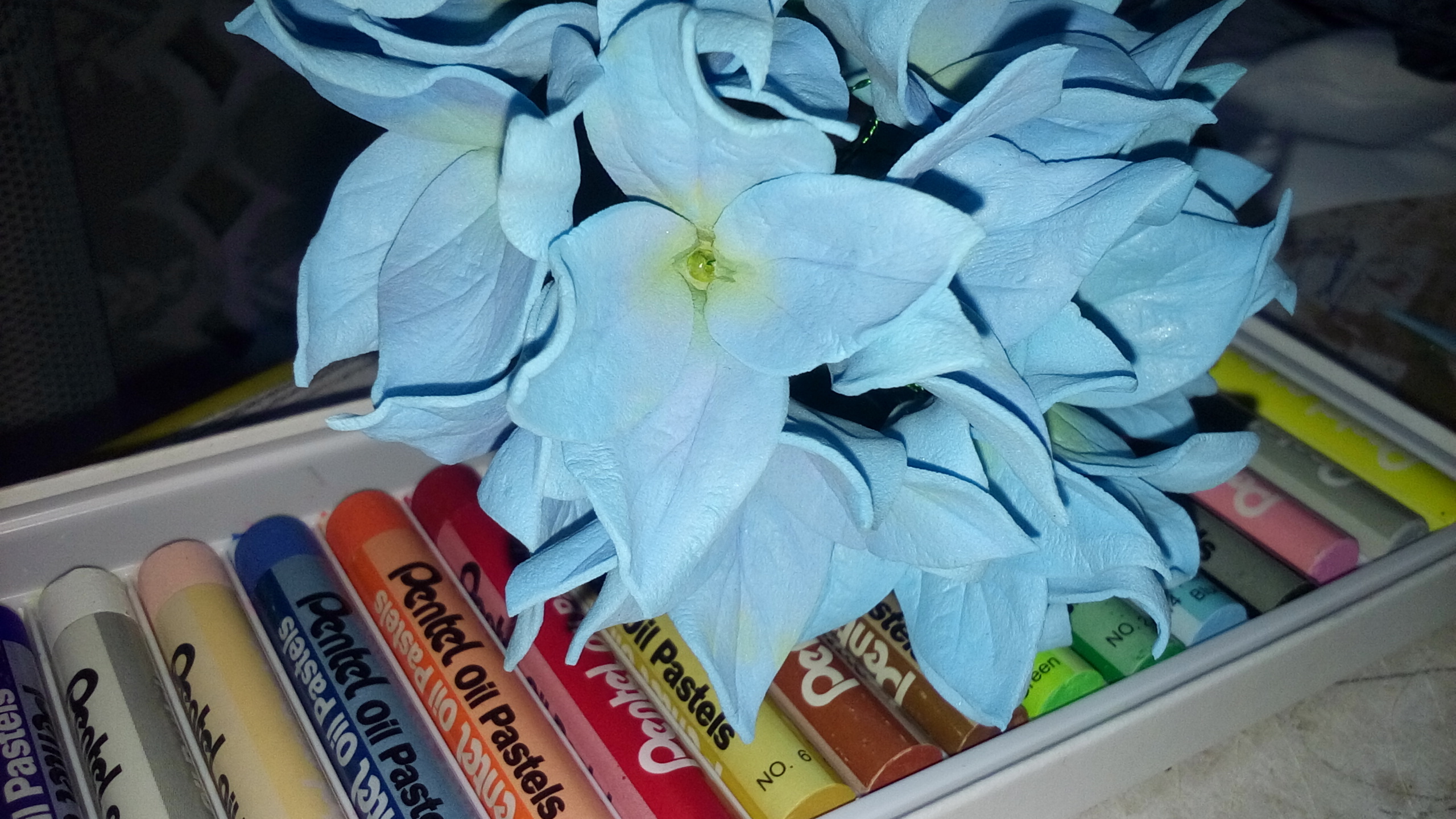 Фотография покупателя товара Пастель масляная, 16 цветов, Pentel, 8/60 мм, в картоне - Фото 1
