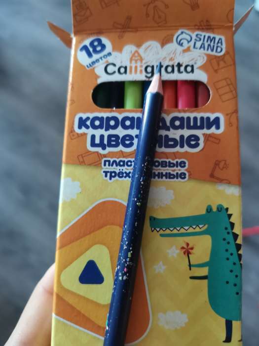 Фотография покупателя товара Карандаши 18 цветов Calligrata, ЭКОНОМ, заточенные, трёхгранные, пластиковые, картонная упаковка, европодвес - Фото 2