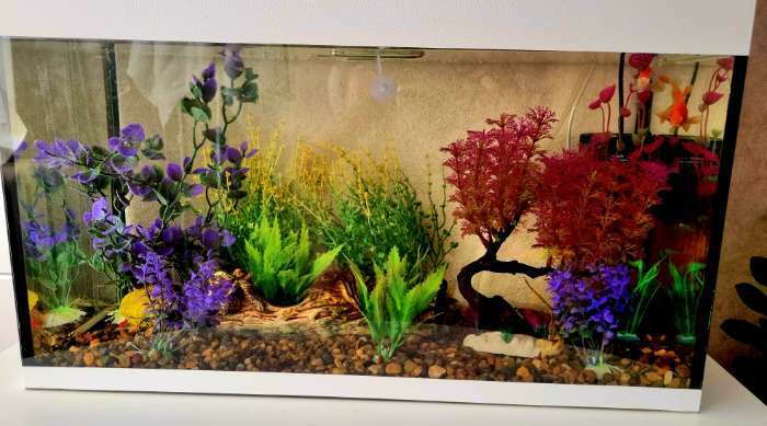 Фотография покупателя товара Растение искусственное аквариумное, 20 см, зелёное - Фото 1