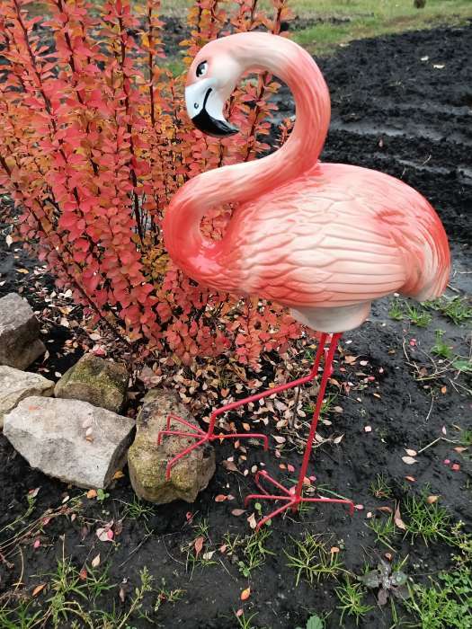 Фотография покупателя товара Садовая фигура "Фламинго", розовый цвет, 65 см - Фото 2