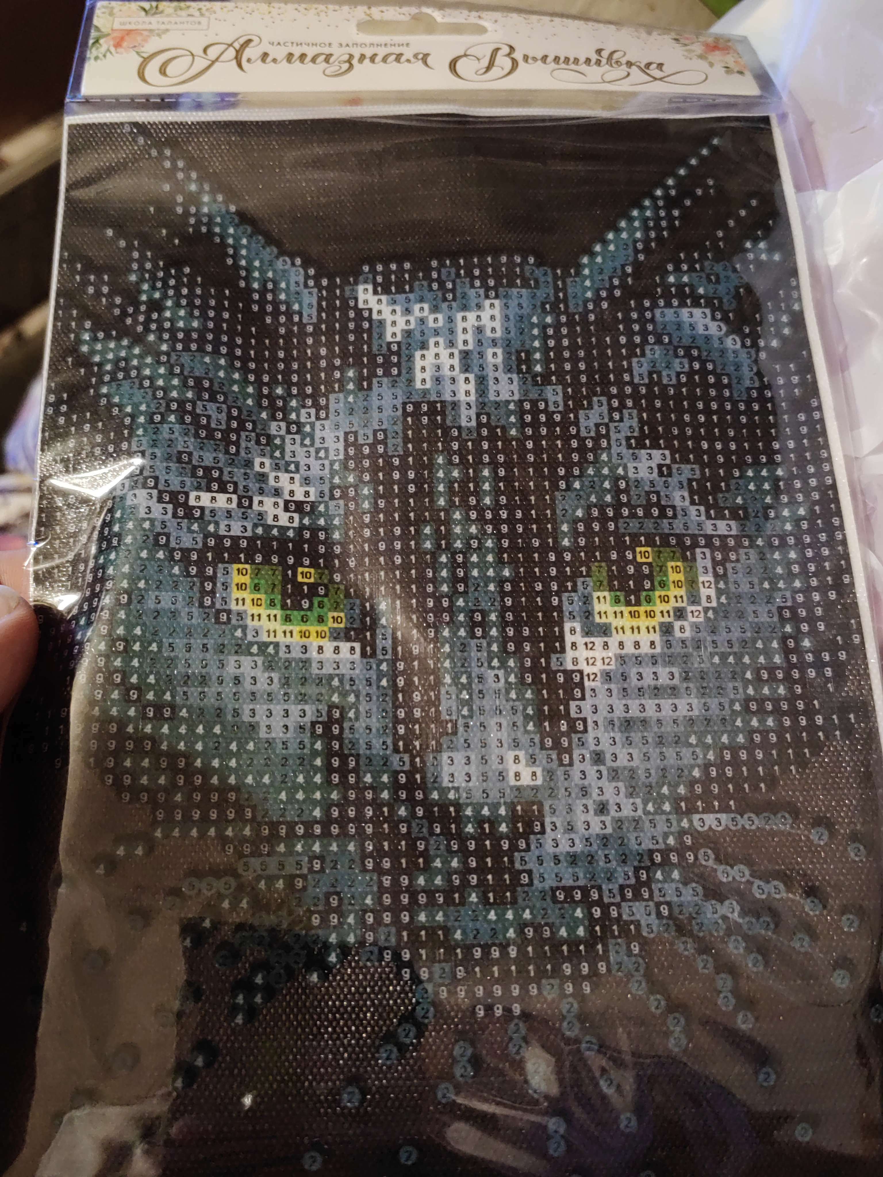 Фотография покупателя товара Алмазная мозаика с частичным заполнением «Чёрный кот», 15 х 21 см, холст. Набор для творчества - Фото 1