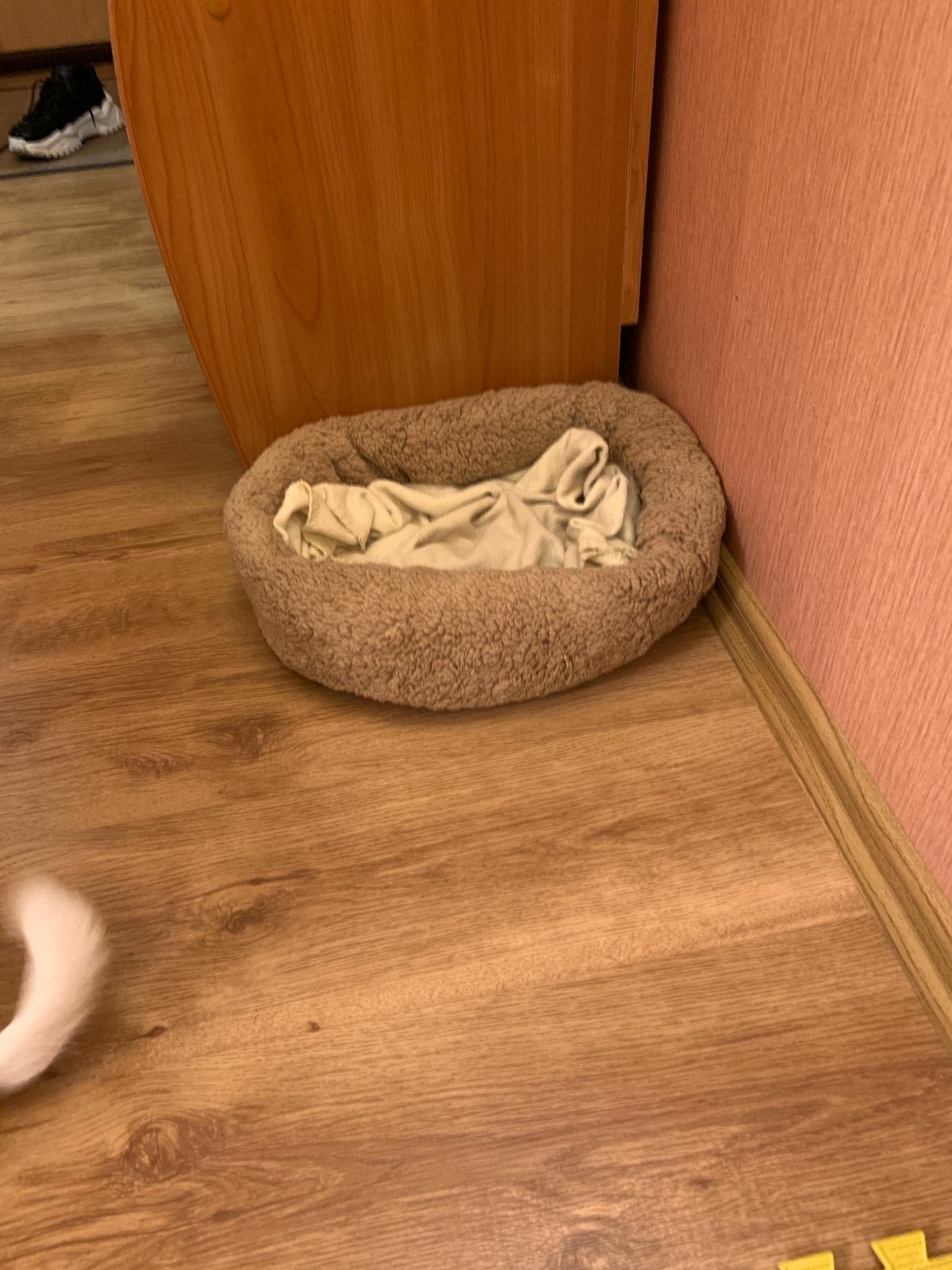 Фотография покупателя товара Лежанка для собак и кошек "Уют", мягкий мех, 45 х 35 х 11 см, коричневая