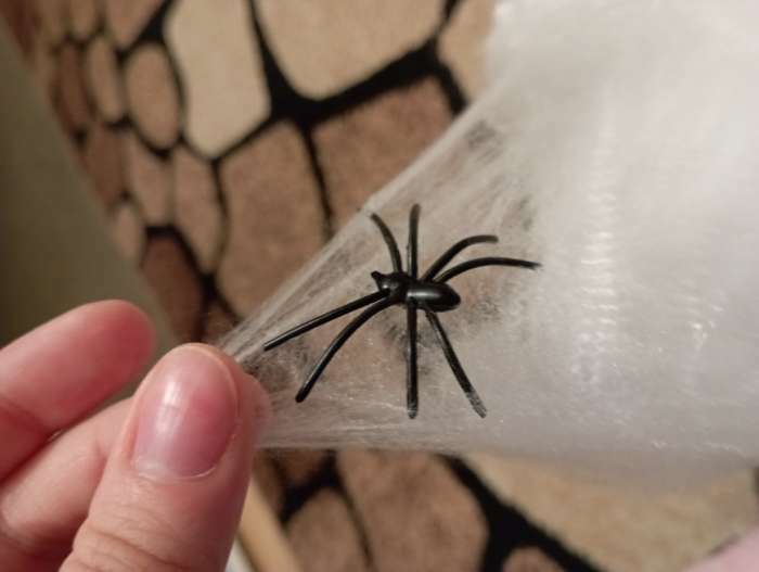 Фотография покупателя товара Прикол «Чёрная паутина с пауками» - Фото 6