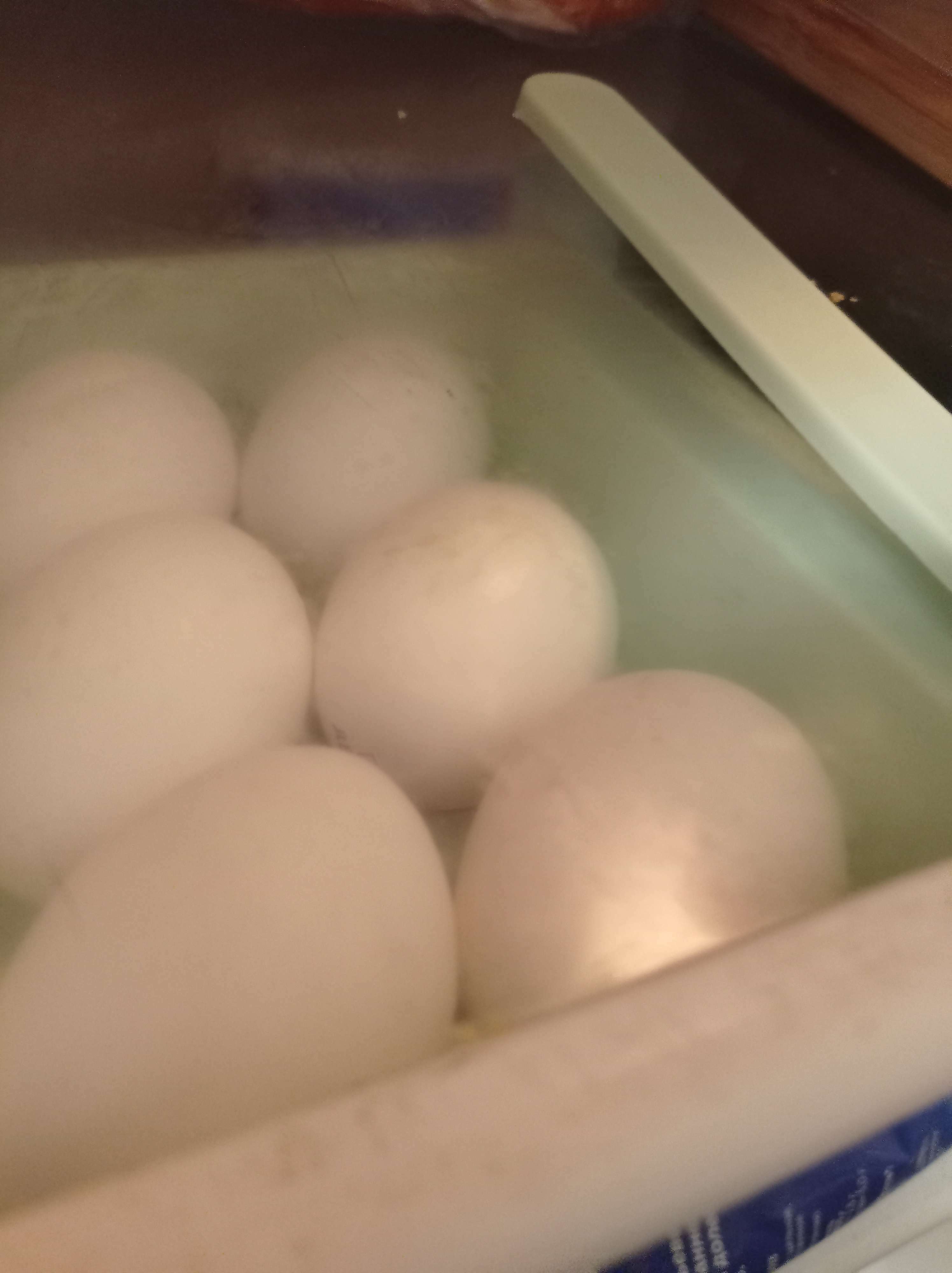 Фотография покупателя товара Полка для яиц в холодильник, подвесная, 12 ячеек, 26×17×5 см, цвет МИКС