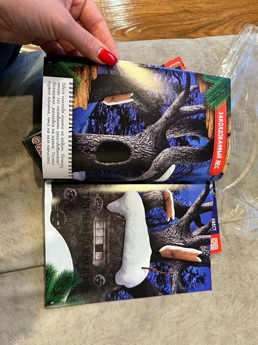 Фотография покупателя товара Новогодние квесты книги «Новый год: Приключения Деда Мороза», 5 книг, 7+ - Фото 26
