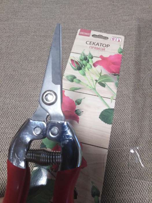 Фотография покупателя товара Ножницы садовые, 7" (18 см), с металлическими ручками, обрезиненная ручка, Greengo - Фото 5