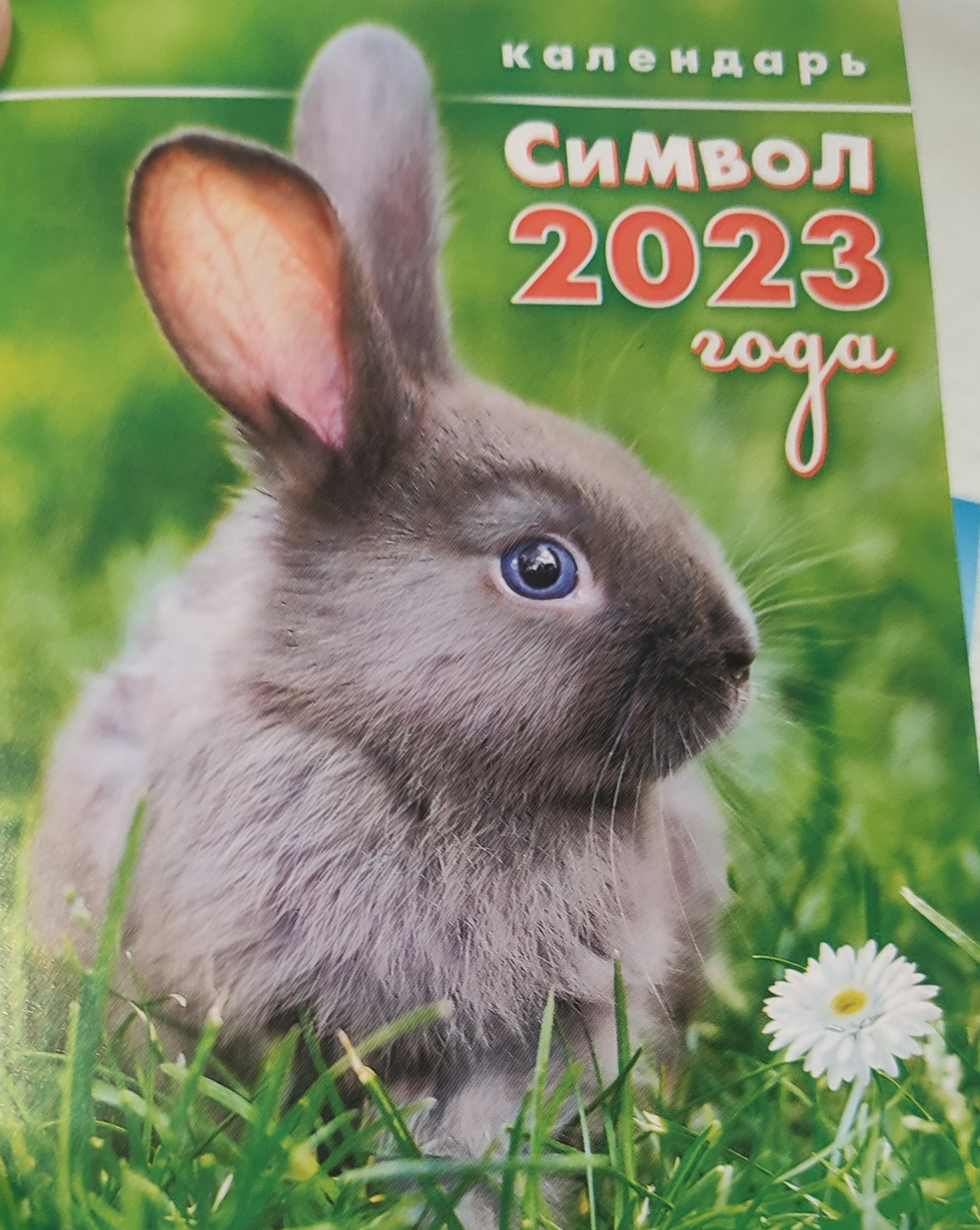 Фотография покупателя товара Календарь отрывной на магните "Символ 2023 Года!" 13х9,5см, кролик в траве - Фото 3