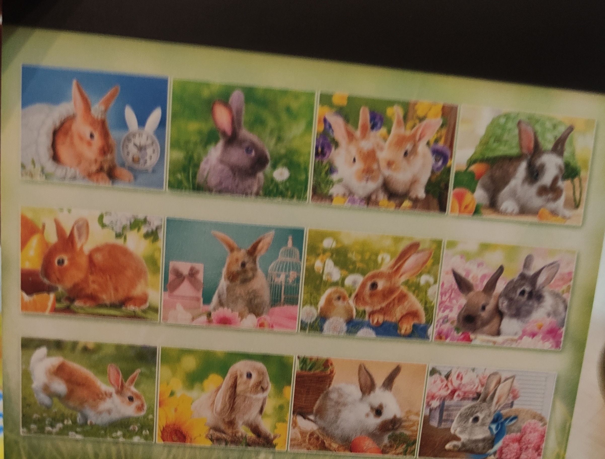 Фотография покупателя товара Календарь отрывной на магните "Символ 2023 Года!" 13х9,5см, кролик в траве