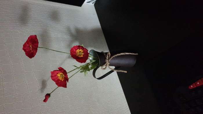 Фотография покупателя товара Цветы искусственные «Маки полевые», 5×58 см, красные - Фото 1