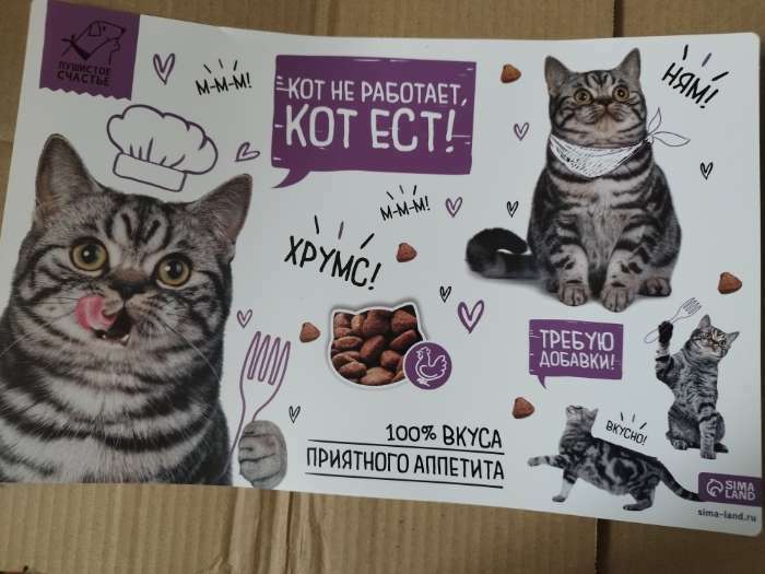 Фотография покупателя товара Коврик под миску «Кот не работает, кот ест!» 43х28 см - Фото 5