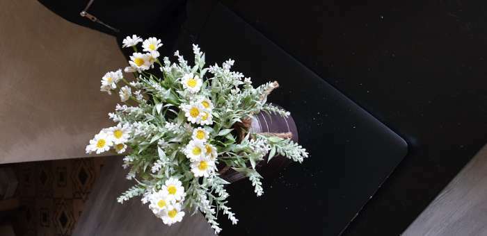 Фотография покупателя товара Цветы искусственные "Матрикария" d-2 см 40 см, белый - Фото 1