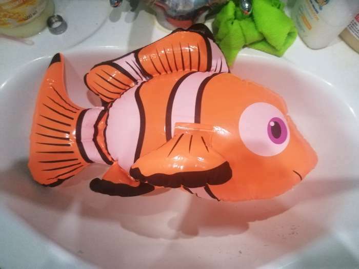 Фотография покупателя товара Игрушка надувная «Рыбка», 40 см, цвет МИКС - Фото 2