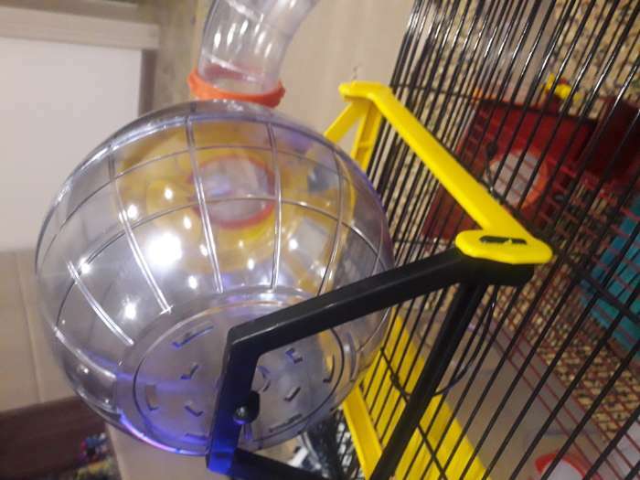 Фотография покупателя товара Клетка для грызунов трехярусная с лабиринтом и колесом, 39 x 29 х 64 см, микс цветов - Фото 10