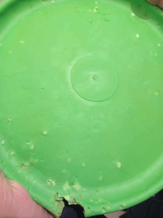 Фотография покупателя товара Фрисби "Летающая тарелка", 23 см, зелёный - Фото 1