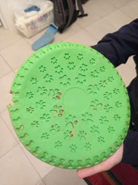 Фотография покупателя товара Фрисби "Летающая тарелка", 23 см, зелёный - Фото 2