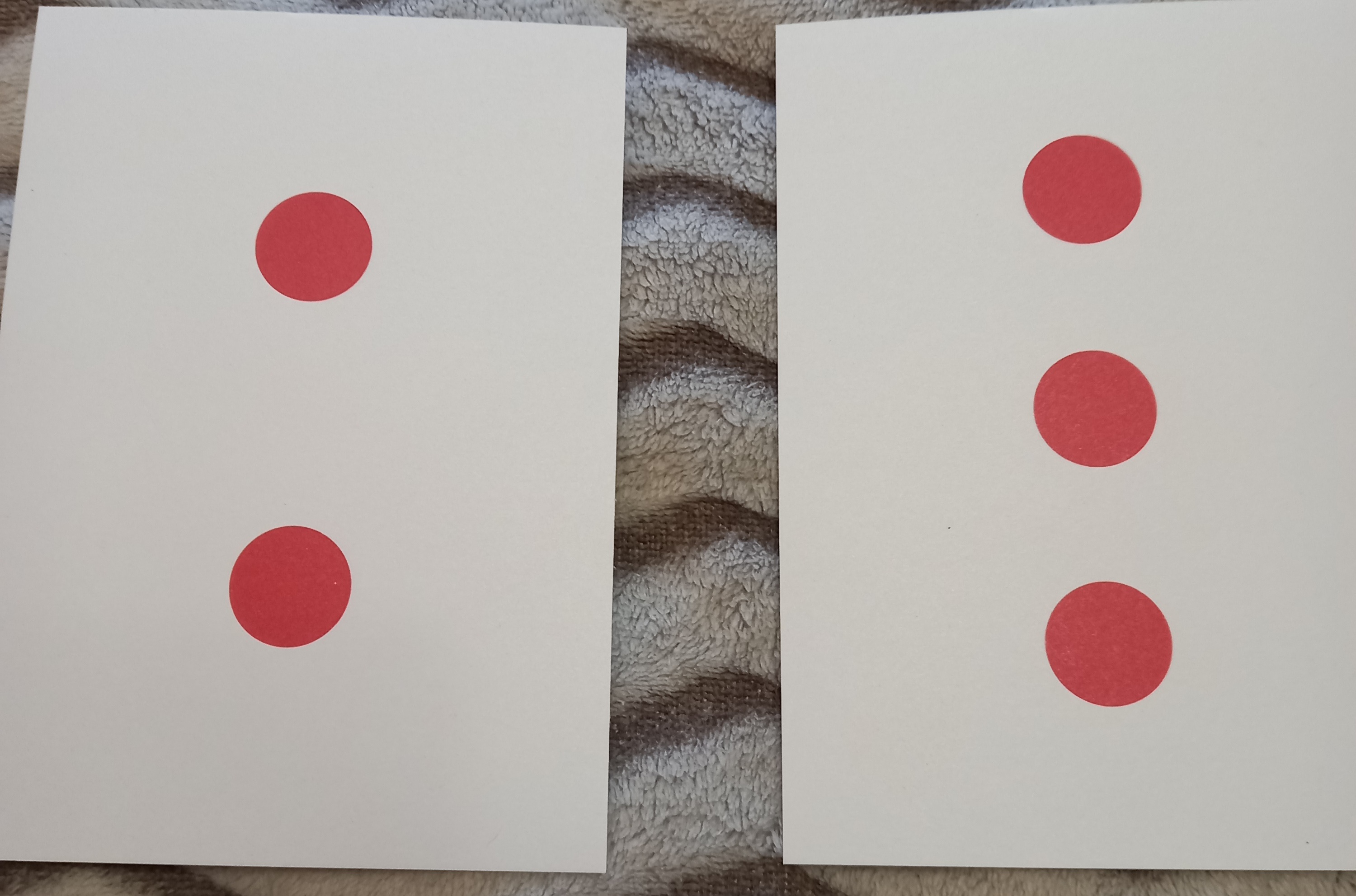 Фотография покупателя товара Обучающие карточки по методике Глена Домана «Изучаем счёт», 30 карт, А6 - Фото 2