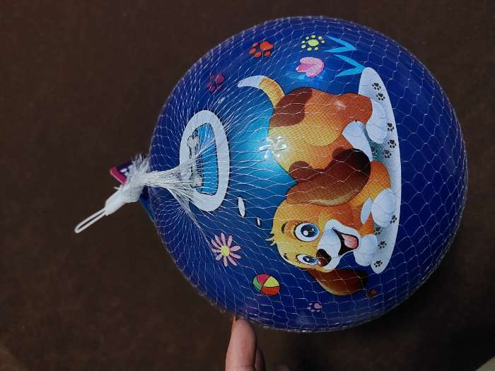 Фотография покупателя товара Мяч детский «Животные», d=22 см, 60 г, цвет МИКС - Фото 1