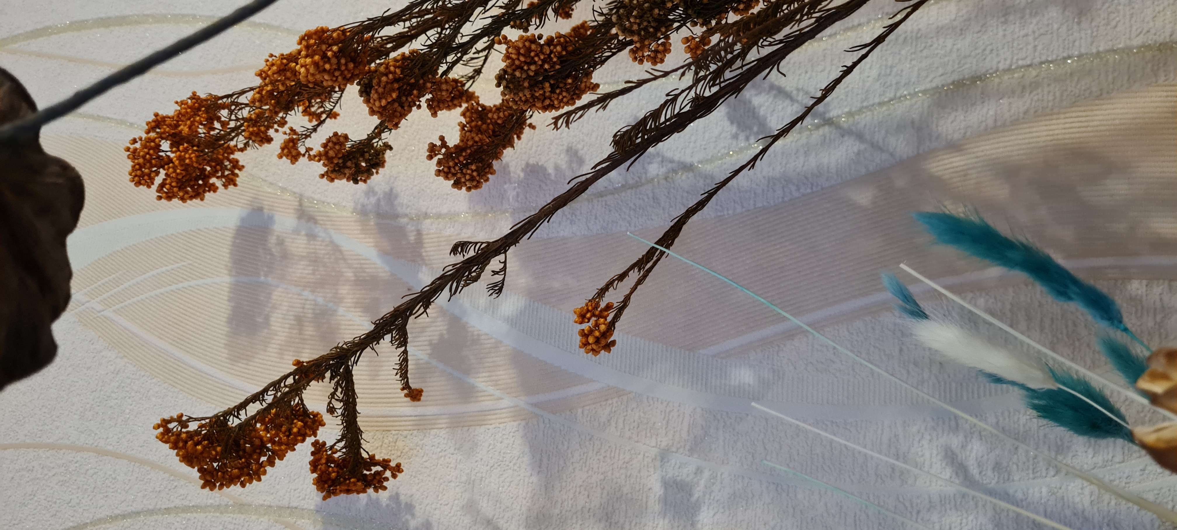 Фотография покупателя товара Сухоцвет «Озотамнус» 60 г, цвет кирпичный