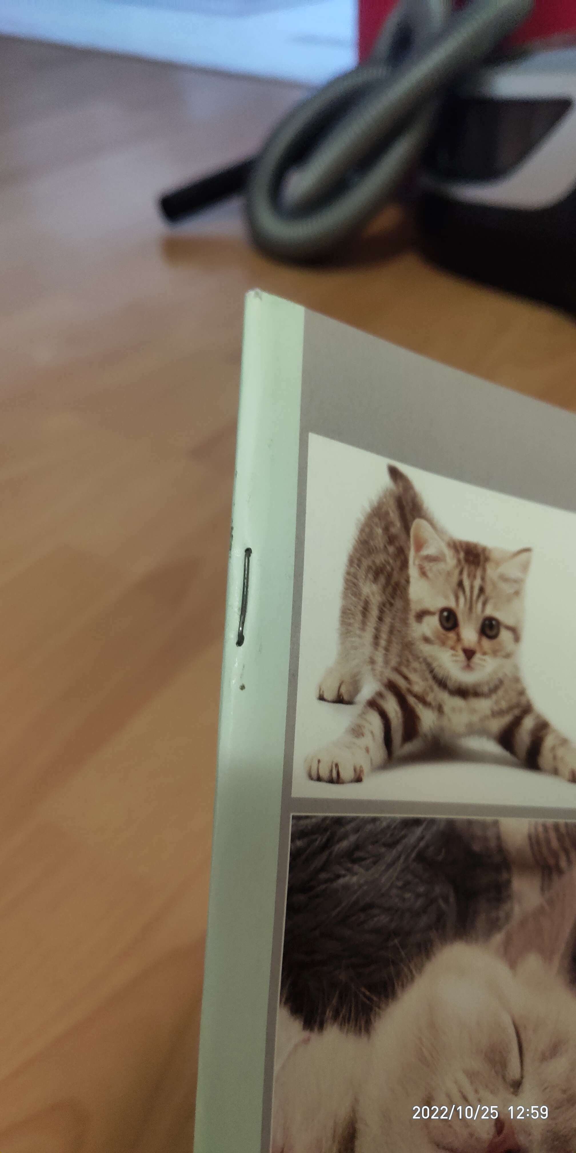 Фотография покупателя товара Тетрадь А4, 48 листов в клетку Calligrata "Котята", обложка мелованный картон, блок офсет - Фото 5