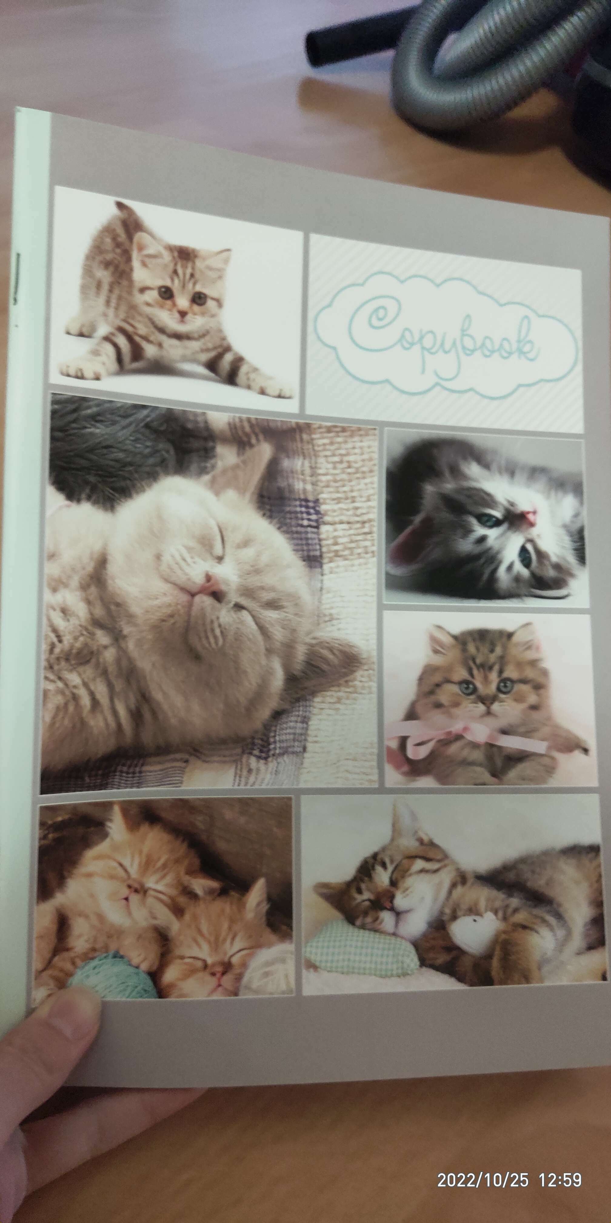 Фотография покупателя товара Тетрадь А4, 48 листов в клетку Calligrata "Котята", обложка мелованный картон, блок офсет - Фото 3