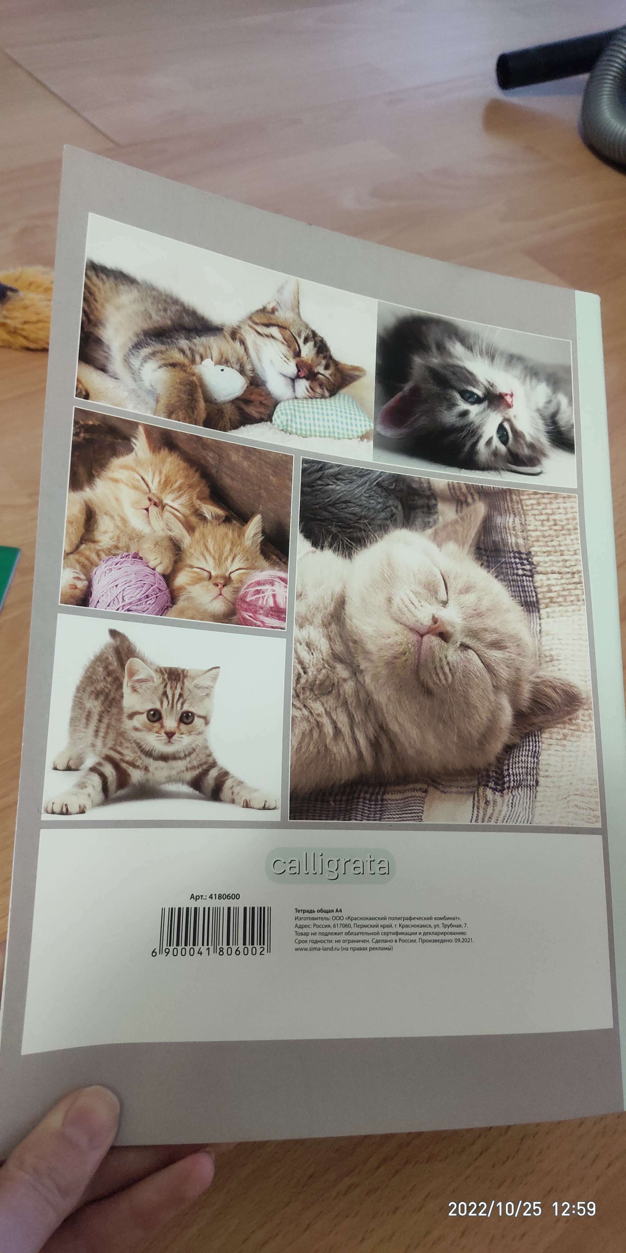 Фотография покупателя товара Тетрадь А4, 48 листов в клетку Calligrata "Котята", обложка мелованный картон, блок офсет - Фото 2