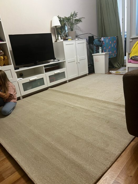 Фотография покупателя товара Палас прямоугольный 200х300см, ft/2p/kr, войлок, ПА100% - Фото 1