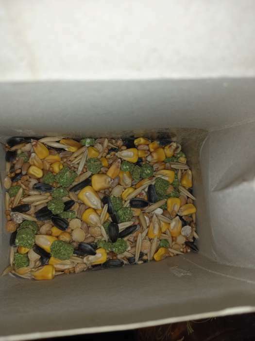 Фотография покупателя товара Корм "Бриллиант" для грызунов, с орехами, 350 г - Фото 1