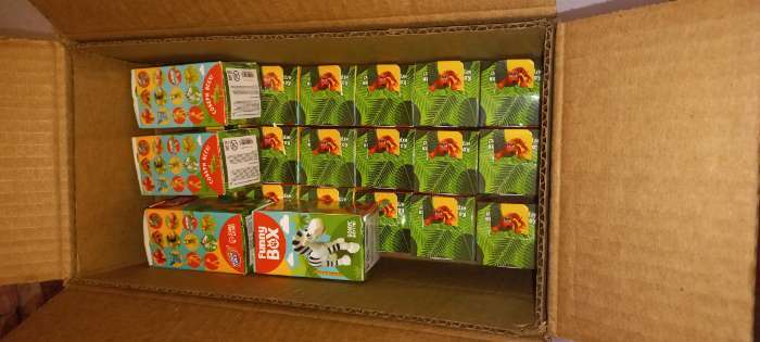 Фотография покупателя товара Игровой набор Funny Box «Зоопарк»: карточка, фигурка, лист наклеек - Фото 1