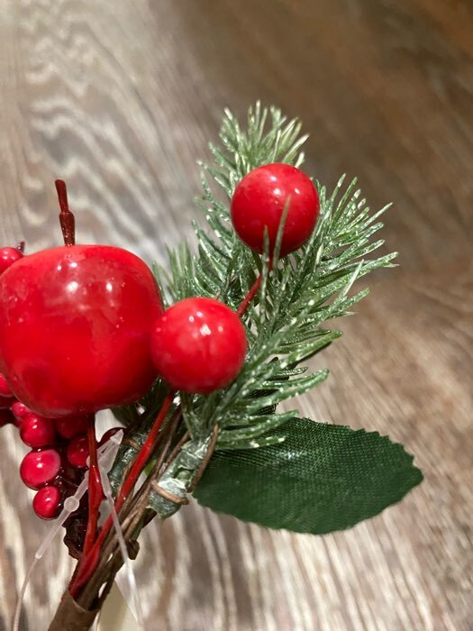 Фотография покупателя товара Декор "Зимние грезы" яблоко красная калина, 17 см - Фото 12