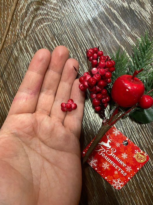 Фотография покупателя товара Декор "Зимние грезы" яблоко красная калина, 17 см - Фото 11