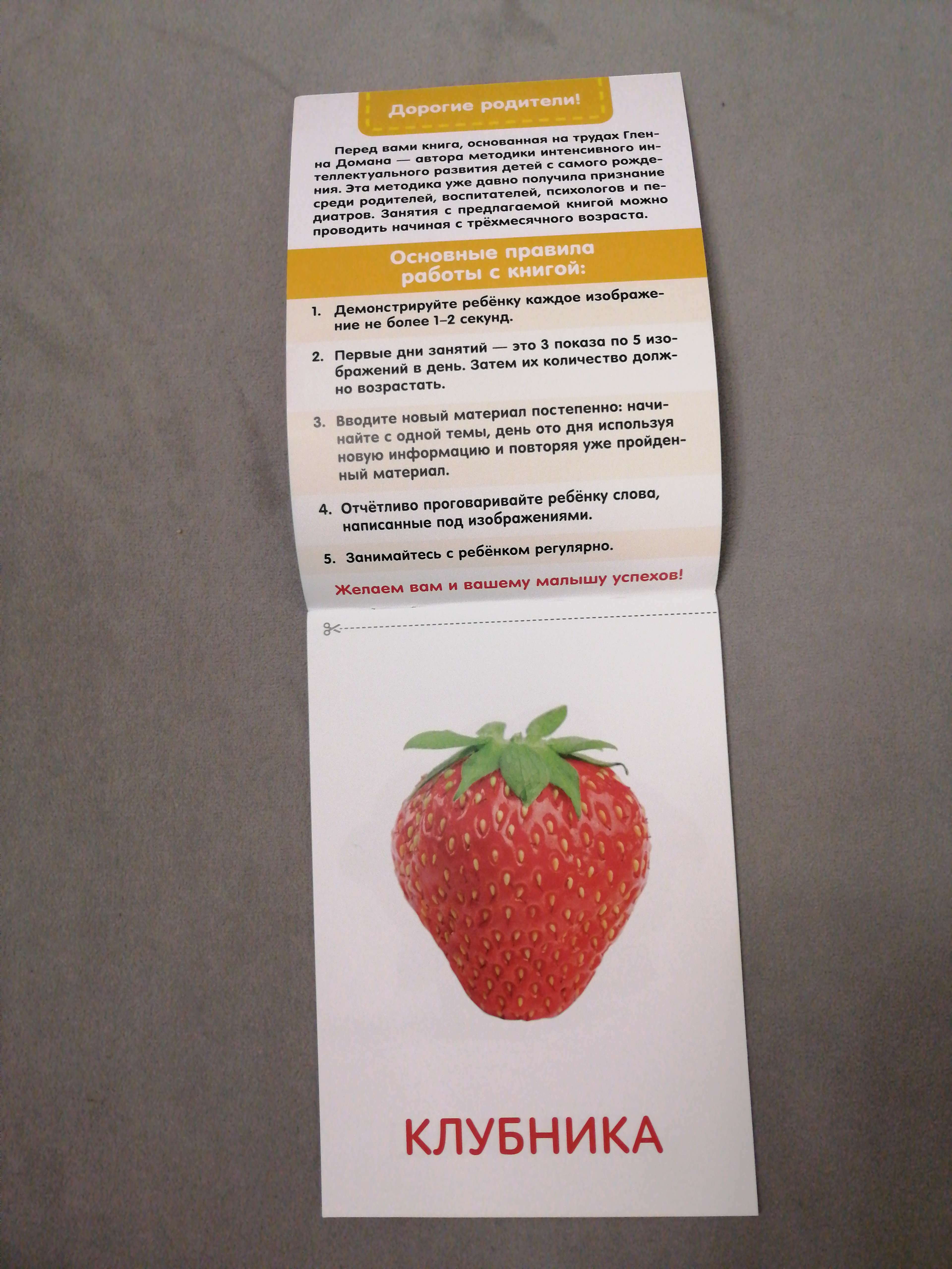 Фотография покупателя товара Обучающие карточки Г. Домана «Грибы и ягоды», на скрепке, 20 стр.
