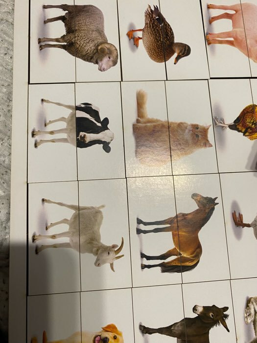 Фотография покупателя товара Карточки Домана с пазлами «Домашние животные»