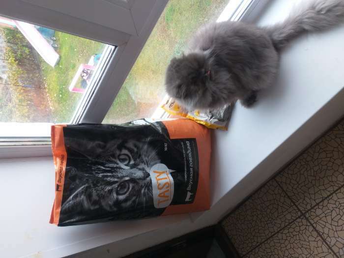 Фотография покупателя товара Сухой корм Tasty для взрослых  кошек, говядина, 10 кг - Фото 1