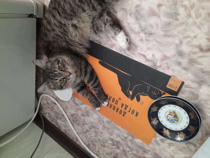 Фотография покупателя товара Коврик под миску «Довольный котик», 43х28 см - Фото 1