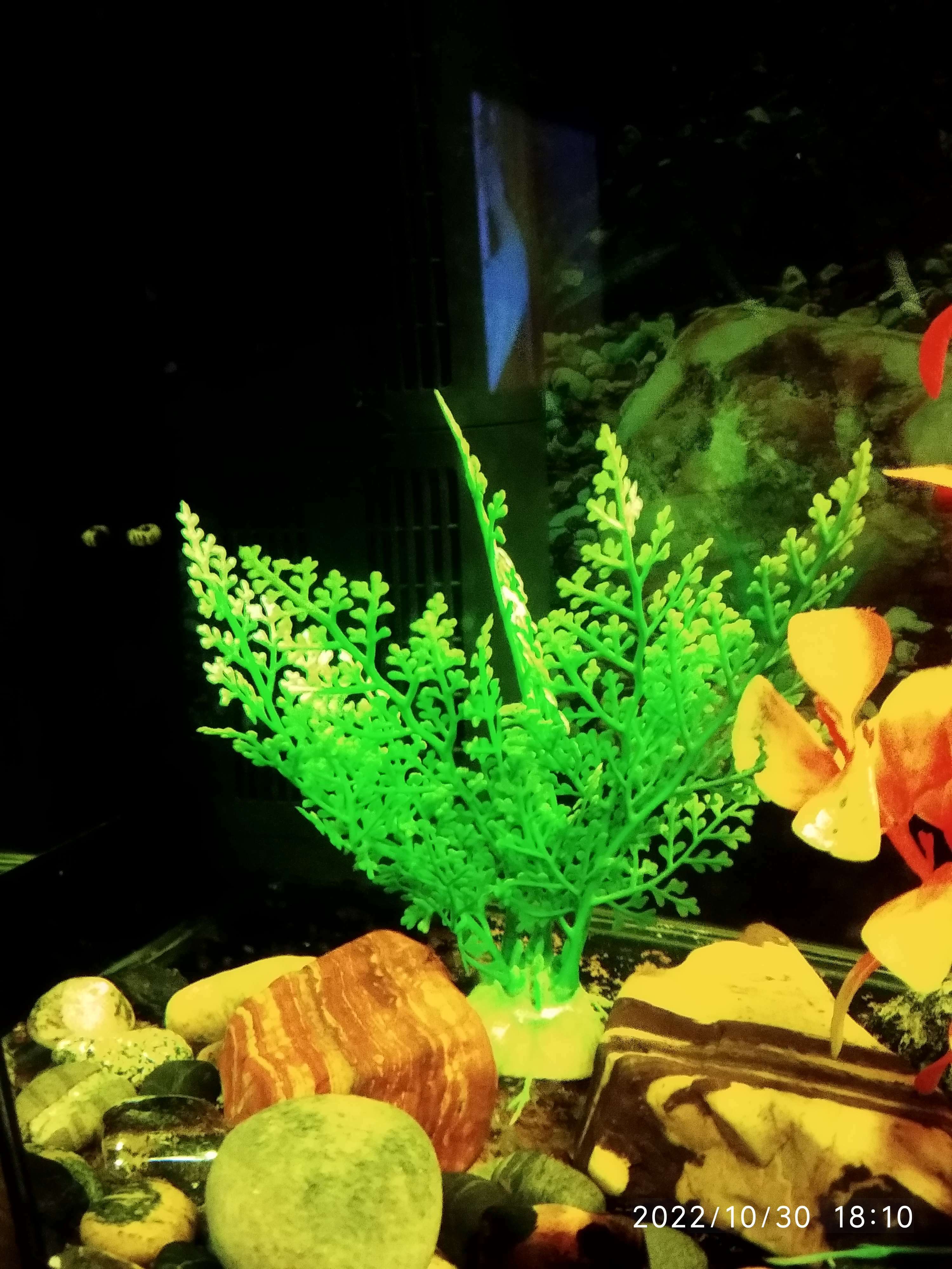 Фотография покупателя товара Растение искусственное аквариумное, до 13 см - Фото 5