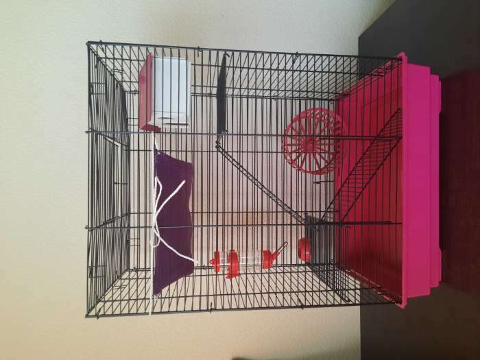 Фотография покупателя товара Клетка для грызунов "Пижон" №5, с 3 этажами, укомплектованная, 41 х 30 х 58 см, рубиновая - Фото 1