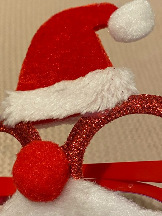 Фотография покупателя товара Карнавальные очки «Дед Мороз» - Фото 3