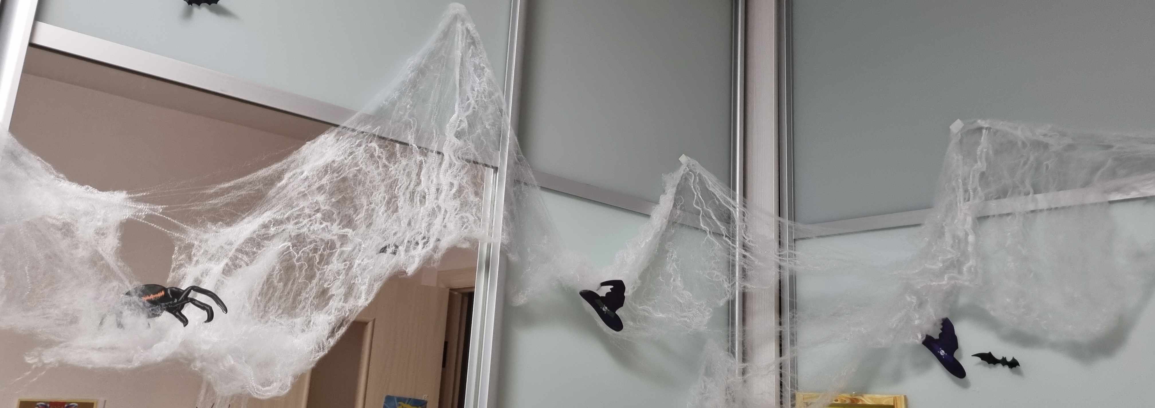Фотография покупателя товара Карнавальный набор «Летучие мыши», паутина, декор